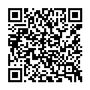 还有之前楚旬等人所遇到的毁灭雷暴和海洋兽潮二维码生成