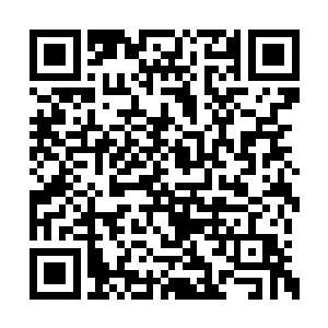 还有二小姐三小姐在老爷和太夫人的面前扇风呢二维码生成