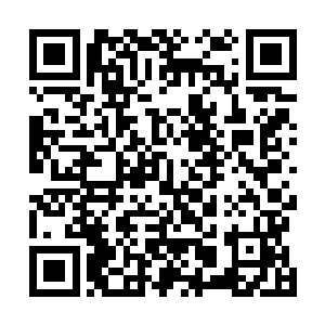 还有些人说炎角的这位大长老是不是在山林里被猛兽吃了二维码生成