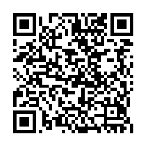 还有些变异则能令古菌进化出李耀最喜欢的鞭毛二维码生成