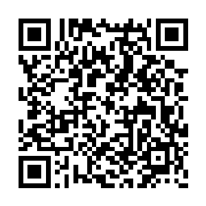 还有人能够容忍我们的存在给予我们这些特权吗二维码生成