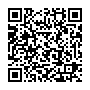 还有什么比看着这可恶的家伙出糗更让人开心的事呢二维码生成