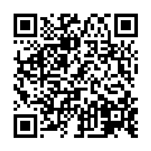 还有从家族中带出来的这些弟子都能够隐藏一下修为二维码生成