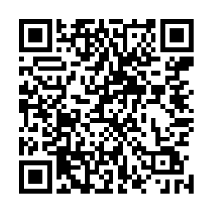 还有从欧阳荻花身上取下来的人阶上品宝器和人阶上品软甲二维码生成