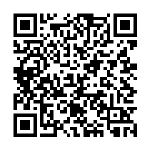还有从远处赶来的查尔斯都急于表示自己的不在意二维码生成