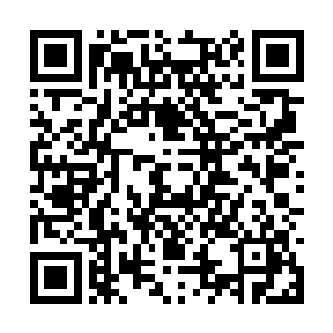 还有他从夜之王残余英灵那里继承来的一部分气息二维码生成