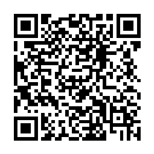 还有他们为什么敢杀掉我们乌龙寨派去跟踪的五个修士二维码生成