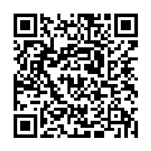 还有他在下三界里收的徒弟和那些比较不错的朋友二维码生成