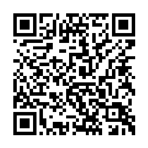 还有他带来了自己师父夏瑞泽近些日子的消息等二维码生成