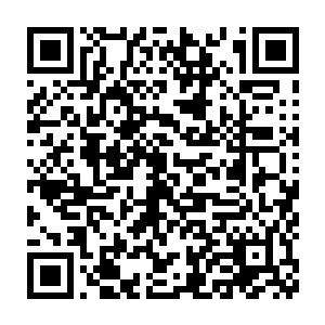 还有伦敦副本……我也遇到了过和我恰好在敌对阵营的荆棘花团的家伙二维码生成