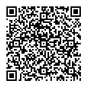 还有你妹子玉清公主也需要加速火候的法阵缩短突破时间……我可是诚实守信按照两家契约帮她成仙二维码生成