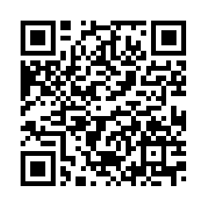 还有你的京城四大美女也朝不保夕二维码生成