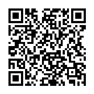 还有你的卫队既要维持秩序又要去堵水库的大坝缺口二维码生成