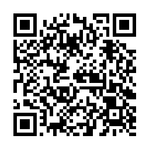 还有像墨景黎这样吃饱了没事干就跑上门来要聊天的二维码生成