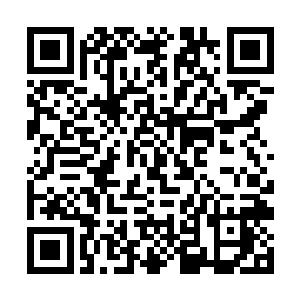 还有像是血妖姬们这般并不适宜交代老底的仙人来说二维码生成
