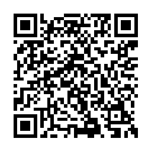 还有先前跑出去找太医的下人被扔进来的撞击声二维码生成