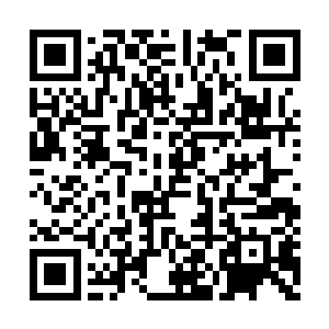 还有其他几位要动雪胡……在他们没有动向之前二维码生成