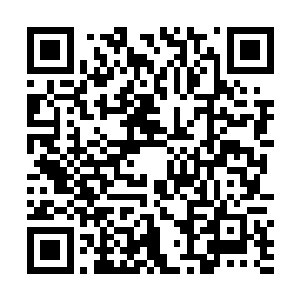 还有几个打扮明显与丫鬟们不一般的女人站在一旁候着二维码生成