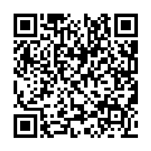 还有几片已经干枯的枫叶……这本是很正常的东西二维码生成