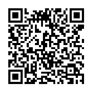 还有刚才出价几百块钱想要拍卖大萝卜的几个小明星二维码生成