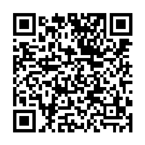 还有前些日子我和李破晓斗法的时候留下的狰狞裂痕二维码生成