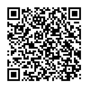 还有十七家影评人协会奖以及业内地位不可动摇的美国国家影评人协会奖二维码生成