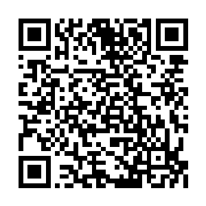 还有可能备不住是小姑每次回来偷偷摸摸给的呢二维码生成