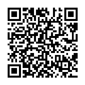 还有后面被放走的那些女人也都会一直歌颂冥王佣兵团的二维码生成