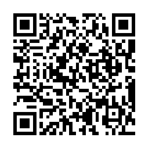 还有地上许海天那如狂狮利爪般的重剑相互交织在一起二维码生成