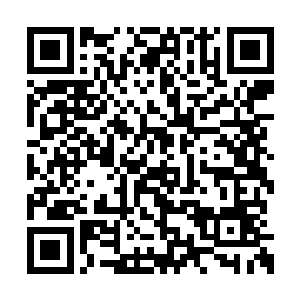 还有墨景黎那边…派个人去告诉他别总想着楚京二维码生成