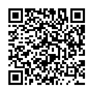 还有夏云杰这样的怪胎或许有可能护着他的朋友离去二维码生成