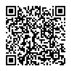 还有多宝阁上摆放的精致花瓶玩意儿……这些她原来见都没见过的好东西二维码生成