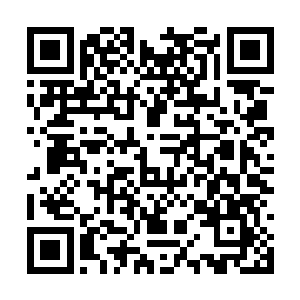 还有多少像闪电生命这样奇妙而瑰丽的生命形态呢二维码生成