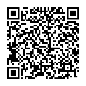 还有大地骑士牛头魔的牛角和一个黑铁铁甲魔的胸甲就出现在了柜台上二维码生成