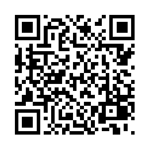 还有大家都在为了你的命劫付出所有二维码生成