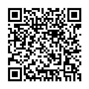 还有天界那个正在抵御冥界大军的界面聚集了多少人族巅峰强者二维码生成