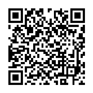 还有太多太多实力不输于他们甚至强于他们的存在二维码生成