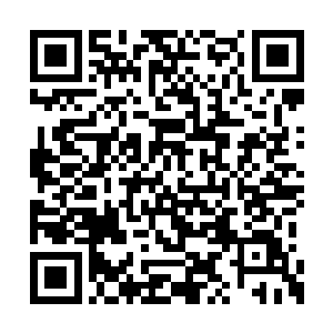 还有对眼前这个大家伙的晋升所需要准备的东西二维码生成