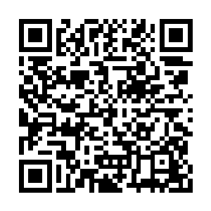 还有小鼻子翘起的鼻尖上的那一点刺眼的酒糟红二维码生成