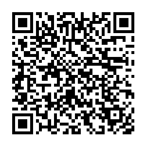 还有少女梦中的粉红卡通世界……都在立体影像大屏幕上一一呈现二维码生成