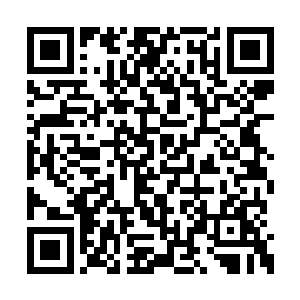 还有少量从端木神王空间戒指里得到的极品神晶二维码生成