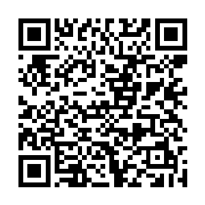 还有就是丁羽后续都会做出什么样子的应对和反应二维码生成