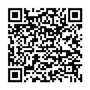 还有就是他的养母就是动了一个不大的小手术而已二维码生成