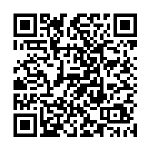 还有就是咱们国家对于手表的看重程度并不是那么的高二维码生成