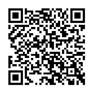 还有就是胡副主任和陈副主任联合起来开了个会二维码生成