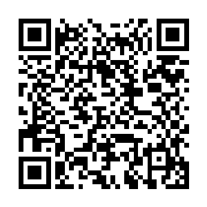 还有就是这一次的董事会的事情丁羽好像没有参与其中二维码生成