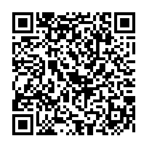 还有就是那个在山下捏着小白的嘴将他肚子里的灵体放出来的那个隐形东西二维码生成