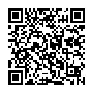 还有就是高扬一直对人怕出名猪怕壮这句话深信不疑二维码生成