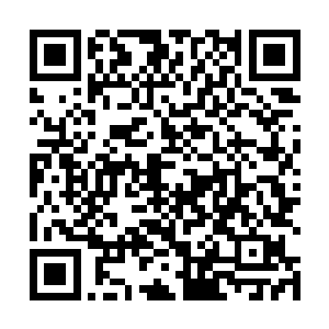 还有希望直接把她儿子史浩文保送去银龙殿当杂役弟子二维码生成