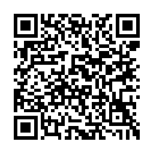 还有很多像齐喜玲这种把他们当爷一样供起来的二维码生成